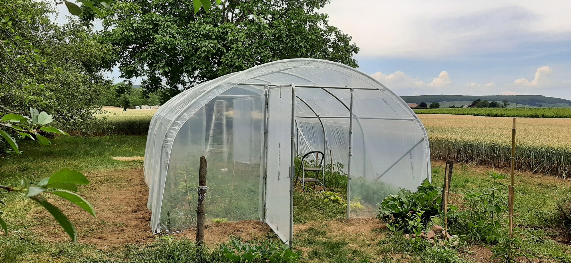 Comment construire une serre : Guide pratique pour les jardiniers - Bâche  Plastique Protection